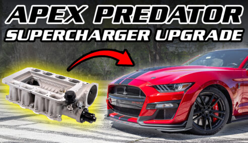 GT500 Makes 900HP with Apex Supercharger Upgrade | Dyno Results!